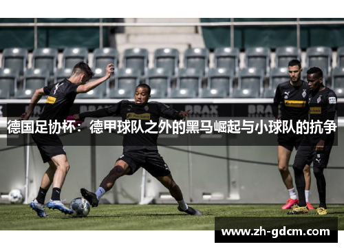 德国足协杯：德甲球队之外的黑马崛起与小球队的抗争